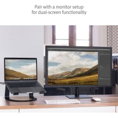 "Elevate Your Workspace with Twelve South Curve Stand - Enhance Comfort & Style - Model 811370021607"